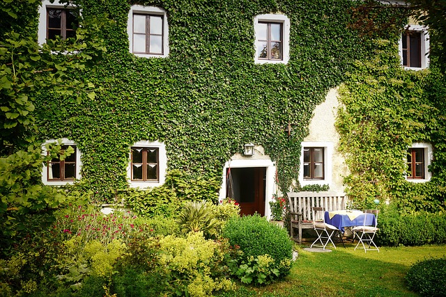 Charmanter Altbau mit Efeu - Modernisierung und Wertsteigerung